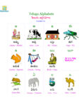 telugu flashcards.pdf
